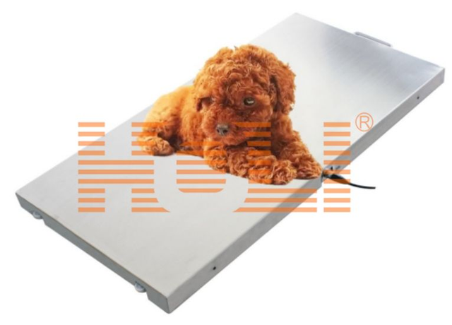 Vet Scale